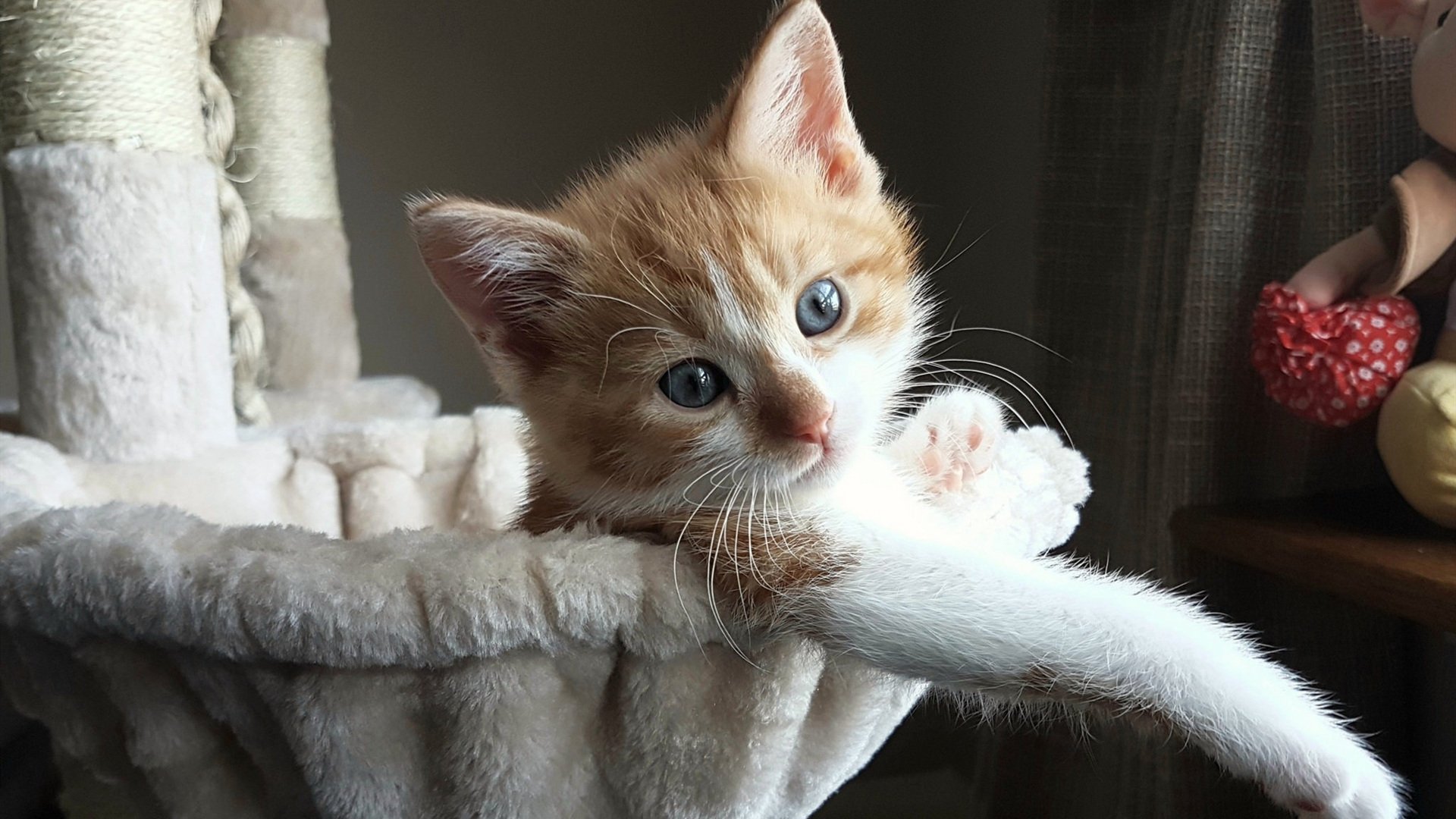 开云网址入口-“德甲决战时刻，豪门迎来关键比赛”，德甲落魄豪门