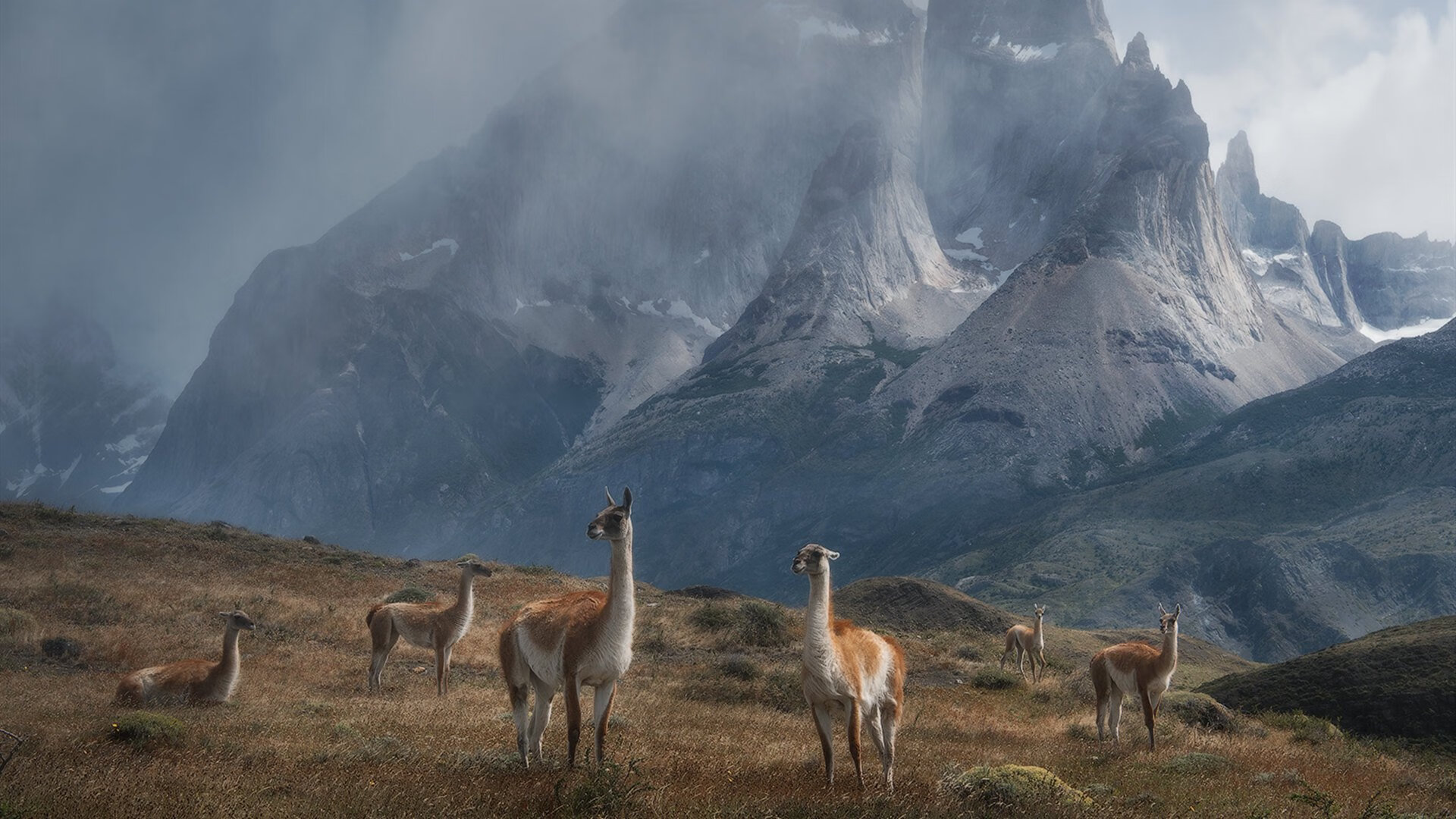 开云注册-传统武术表演秀，传递文化正能量，武术 表演