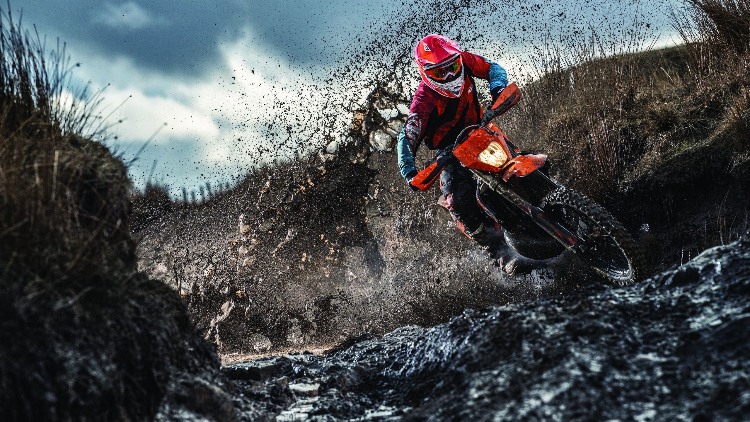 开云网站-跨国示范场馆建设推进，绿色环保和智能科技齐头并进，跨国展览中心